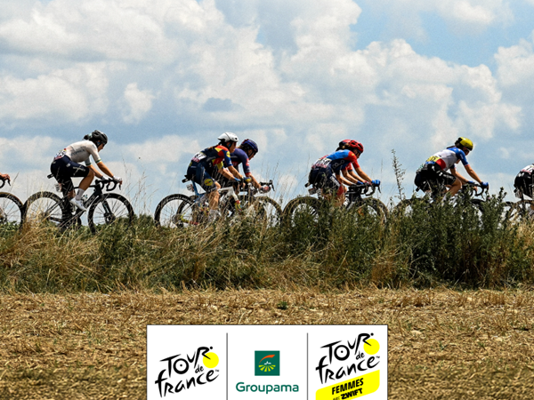 1784656135_en_C (Medium).png